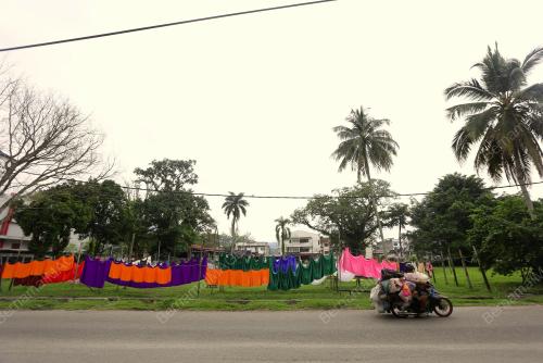 DOBI_FLAT