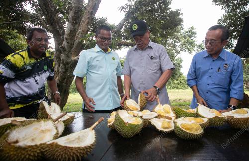 DATUK SERI MOHAMAD SABU