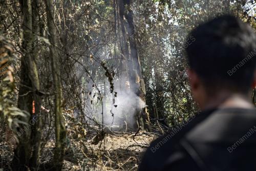 KEBAKARAN HUTAN BELUKAR DI GUNUNG SEMANGGOL
