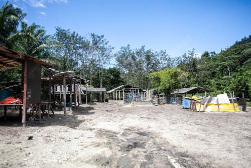 HARIMAU_BANGKONG