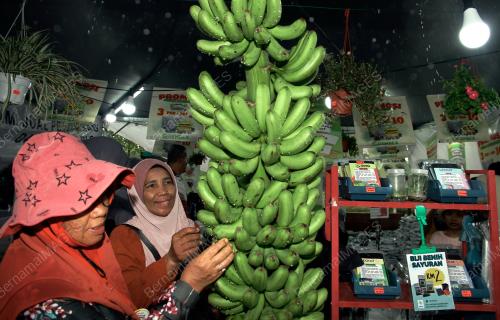 HPPNK 2023