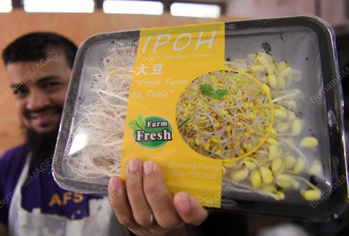 TAUGEH IPOH