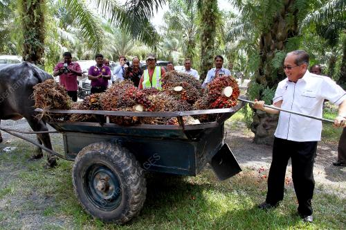 PK17_20082015_LAWATAN_KERJA