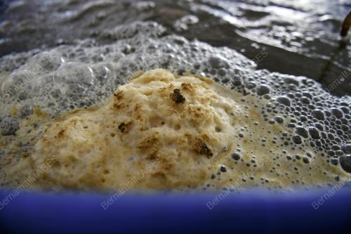 PUSAT AKUAKULTUR BIOFLOK SIPUTEH