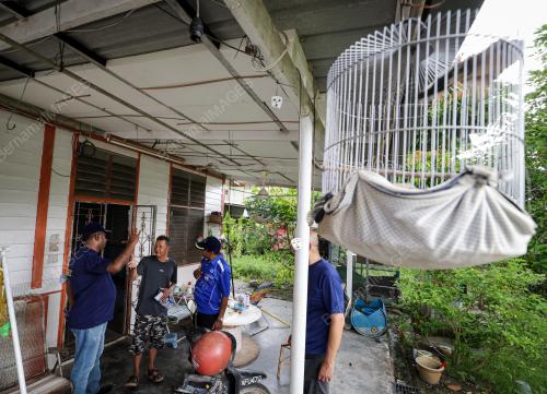 PIIHAN RAYA UMUM KE 15