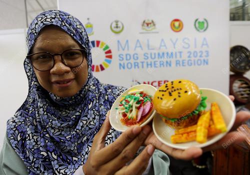 PAMERAN SDG 2023