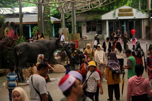 TINJAUAN ZOO TAIPING