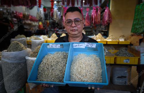 IKAN BILIS MATA BIRU