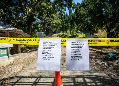 HARIMAU_BANGKONG