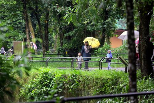 TINJAUAN ZOO TAIPING