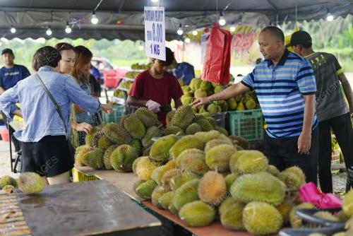 PAK MAN DURIAN TELUK INTAN