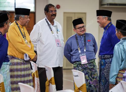 PIIHAN RAYA UMUM KE-15