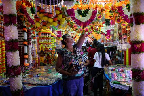 TINJAUAN SAMBUTAN DEEPAVALI
