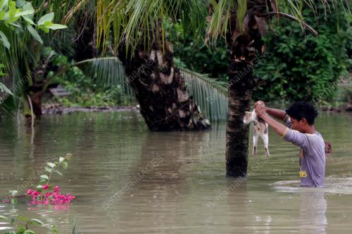 PK20_25012017_BANJIR