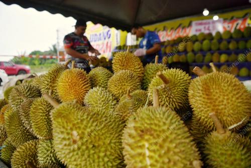 PAK MAN DURIAN TELUK INTAN