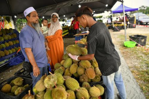 PAK MAN DURIAN TELUK INTAN