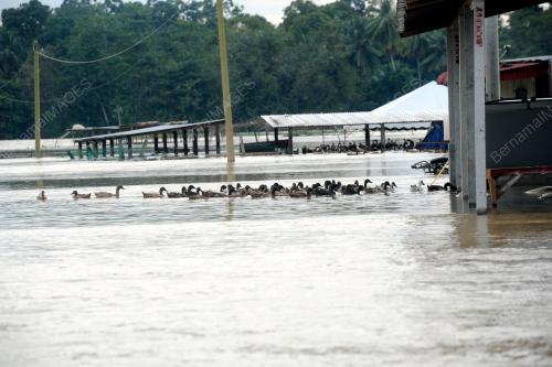 PK22_27122014_BANJIR