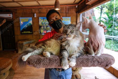 TINJAUAN TEMPAT TARIKAN DI IPOH SEMPENA KEBENARAN RENTAS NEGERI