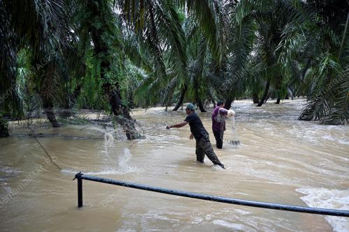 TINJAUAN BANJIR SEKITAR MANJUNG