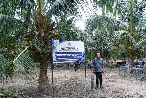 KELAPA BAGAN DATUK