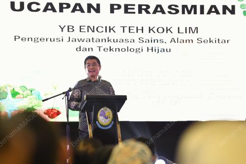 TEH KOK LIM