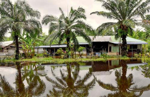 TINJAUAN RUMAH MANGSA BANJIR DI MATANG