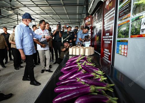 DATUK SERI ANWAR IBRAHIM