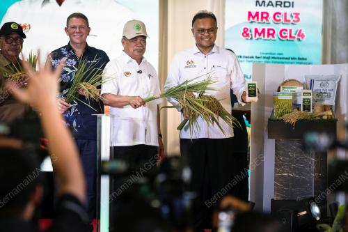 DATUK SERI MOHAMAD SABU