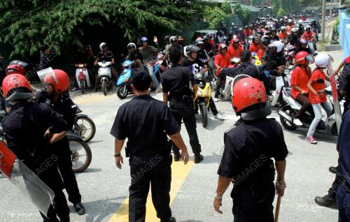 BELIA PERAK