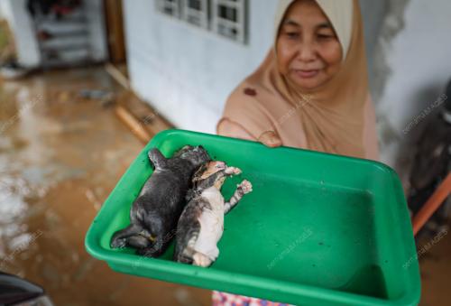 TINJAUAN KEJADIAN BANJIR KILAT