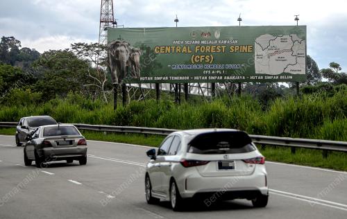 JALAN RAYA TIMUR BARAT (JRTB) GERIK-JELI