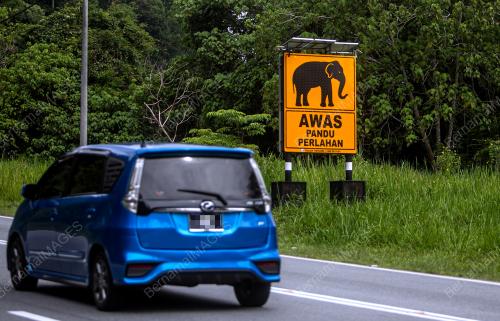 JALAN RAYA TIMUR BARAT (JRTB) GERIK-JELI