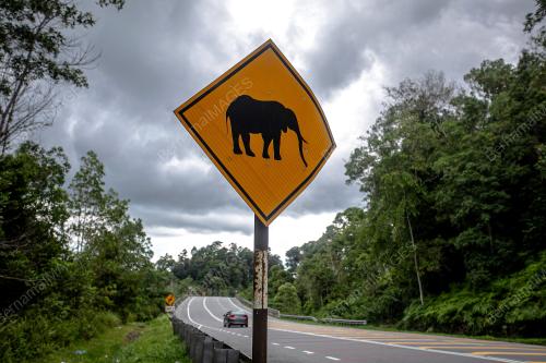 JALAN RAYA TIMUR BARAT (JRTB) GERIK-JELI
