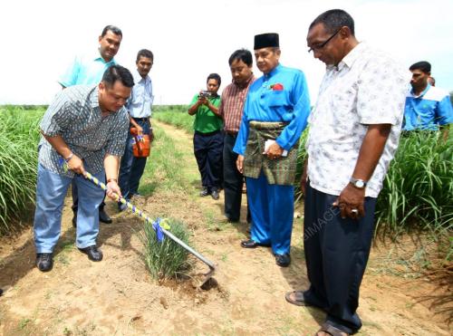 TUANKU SYED FAIZUDDIN PUTRA JAMALULLAIL