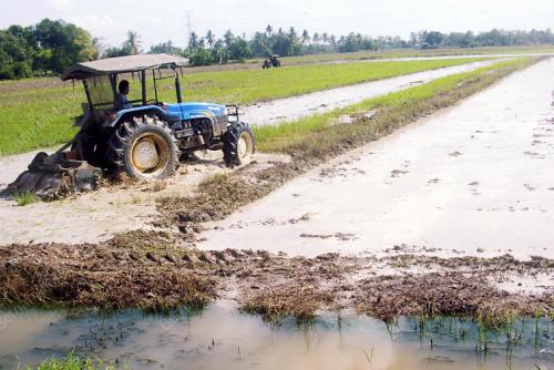 KEMARAU SUDAH BERAKHIR