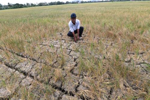 SAWAH KERING