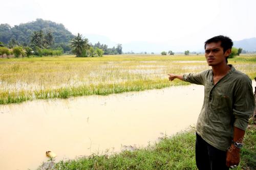 BORHAN ABDUL HALIM
