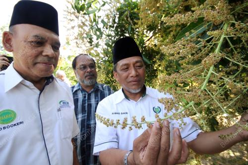 PR01_03022015_BUNGA_HARUMANIS
