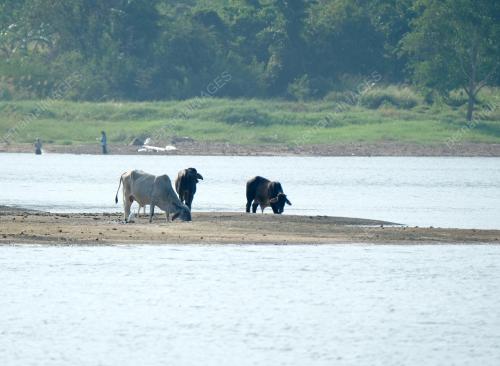 EMPANGAN TIMAH TASOH