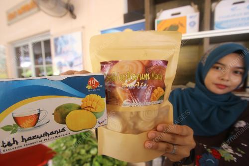 PR01_03052019_HARUMANIS_BN201905028624