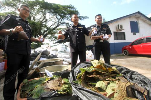 PR01_03082018_KETUM_BN201808024792