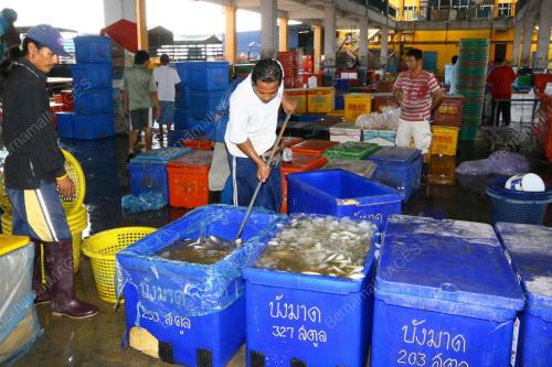 BEKALAN IKAN