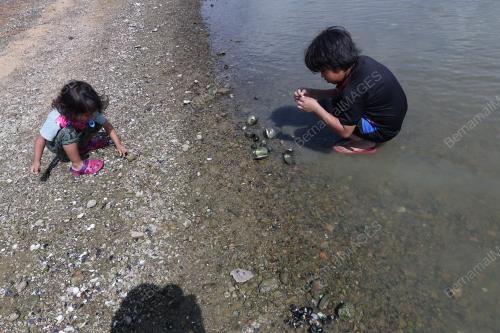 EMPANGAN TASIK TIMAH TASOH