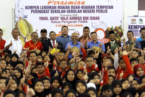 PR01_06082018_BUAH_BN201808034895