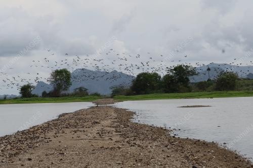 EMPANGAN TIMAH TASOH