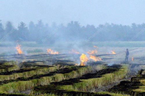 PEMBAKARAN TERBUKA