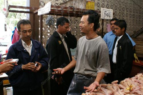 HARGA AYAM