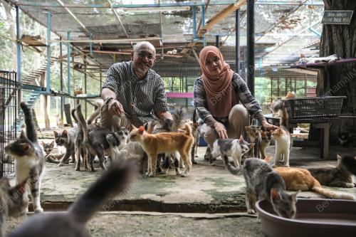 BUSTANA KUCING