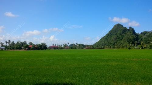 PR01_11062016_PANORAMA