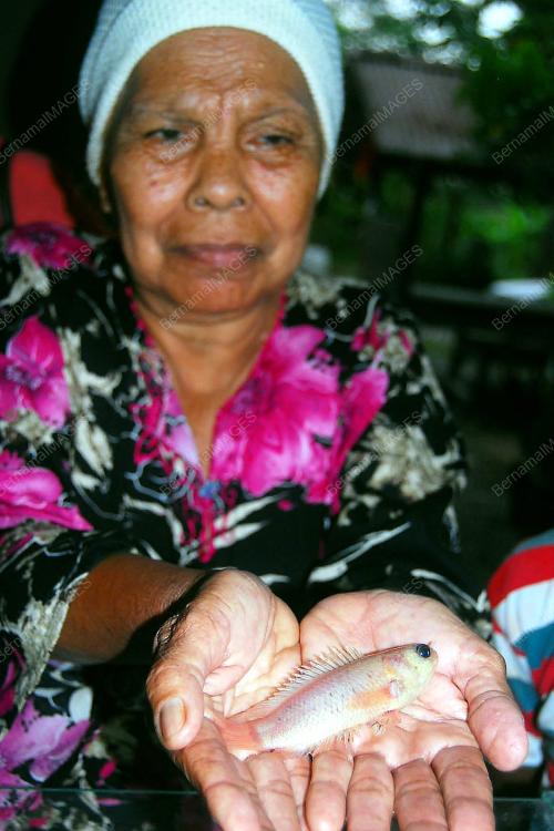PR01_12012011_PUYU_PUTIH